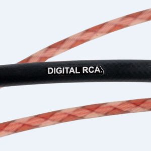 Bronze Digital Rca