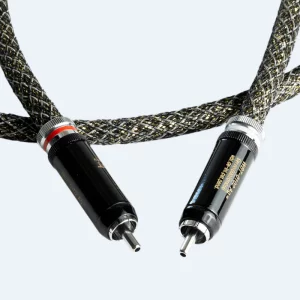 Gold Digital RCA