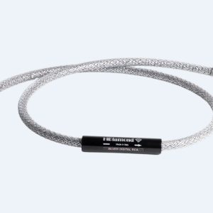 Silver Digital RCA
