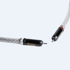 Silver Digital RCA