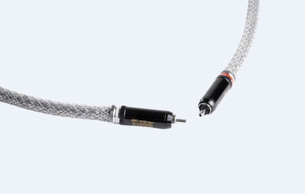 Silver Digital RCA - obrazek 2