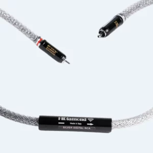 Silver Digital RCA