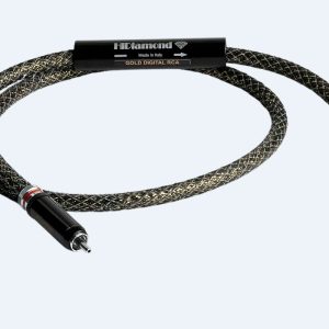 Gold Digital RCA
