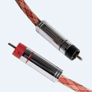 Bronze Digital Rca