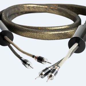 Speaker TOP Gold