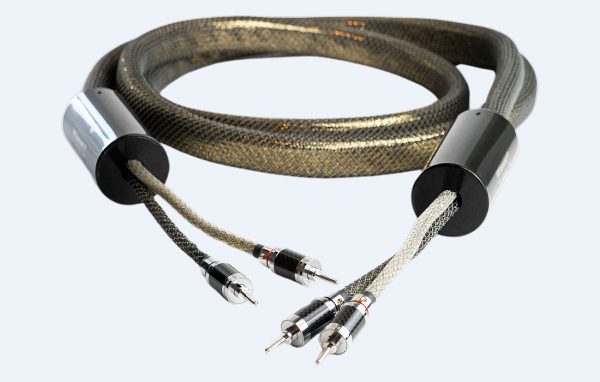 Speaker TOP Gold - obrazek 5